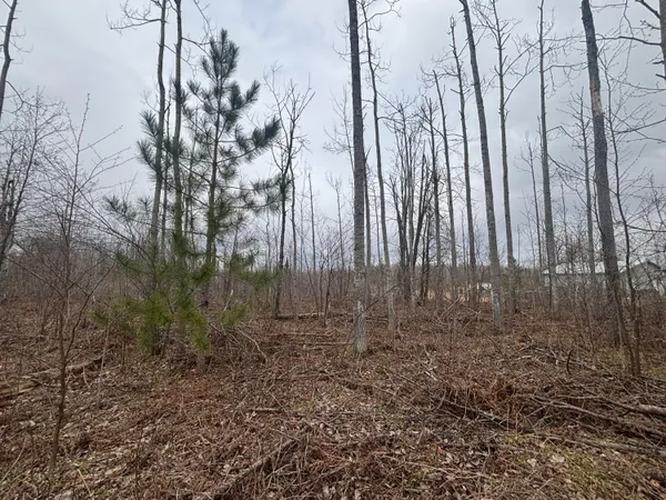 $77,500 | 15 A Finnegan Road, Johannesburg, MI 49751