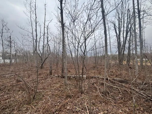 $77,500 | 15 A Finnegan Road, Johannesburg, MI 49751