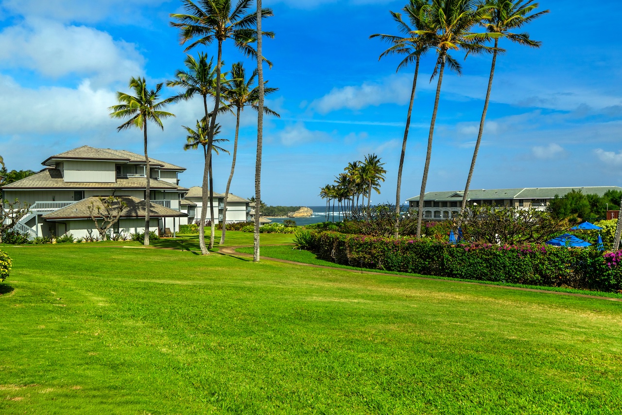 1565 Pe'e Road, Unit 211 Koloa, HI 96756 - Photo 30 of 30 a view of a backyard with a garden and plants