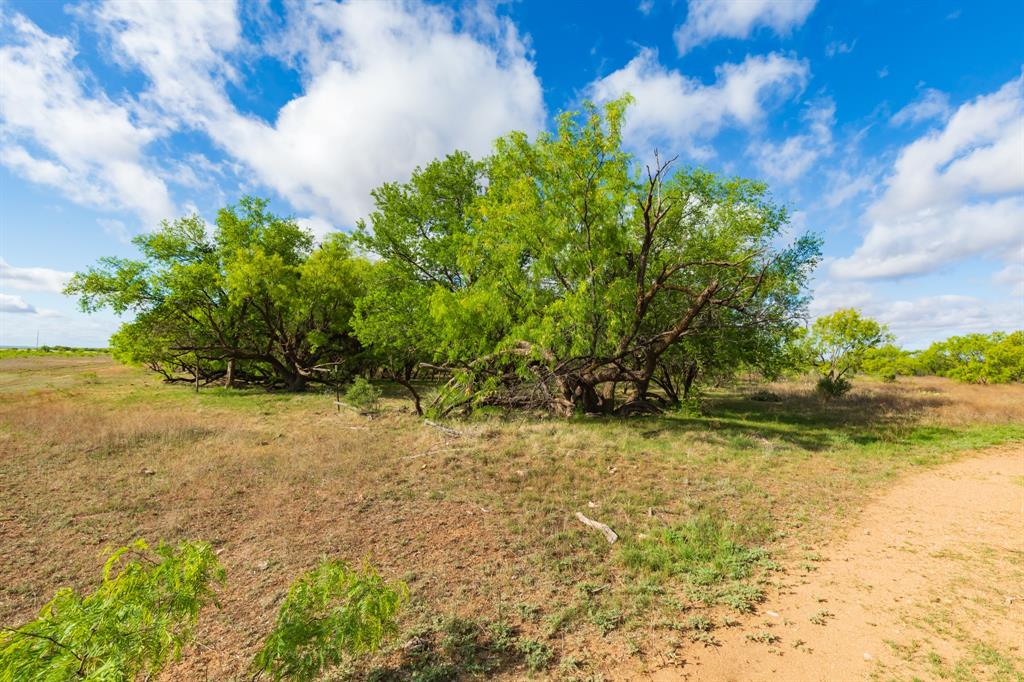 600 Fm 600 Haskell, TX 79521 - Photo 13 of 34 a view of a yard with an trees
