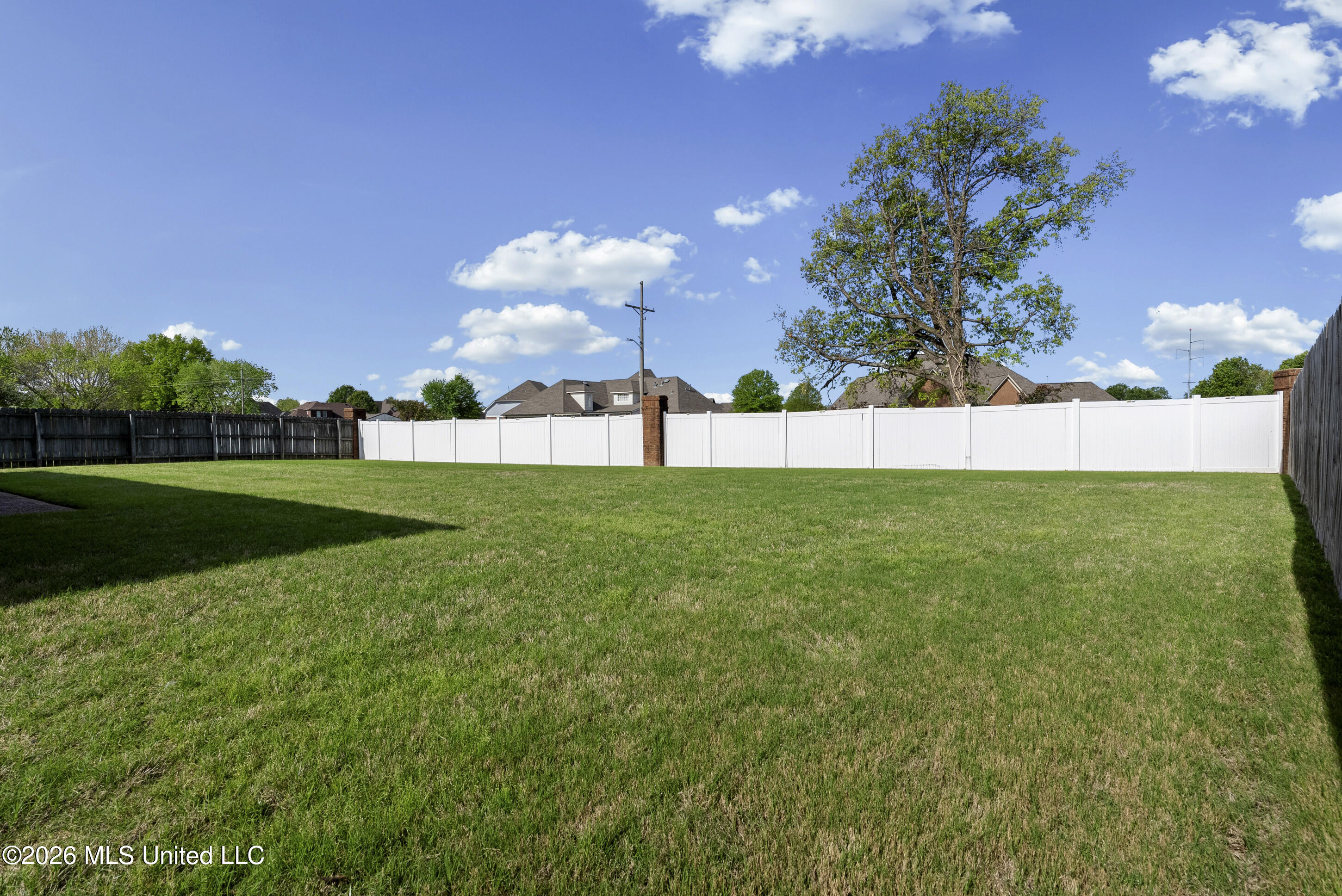 8949 Bent Grass Loop North Southaven, MS 38671 - Photo 25 of 31 Backyard