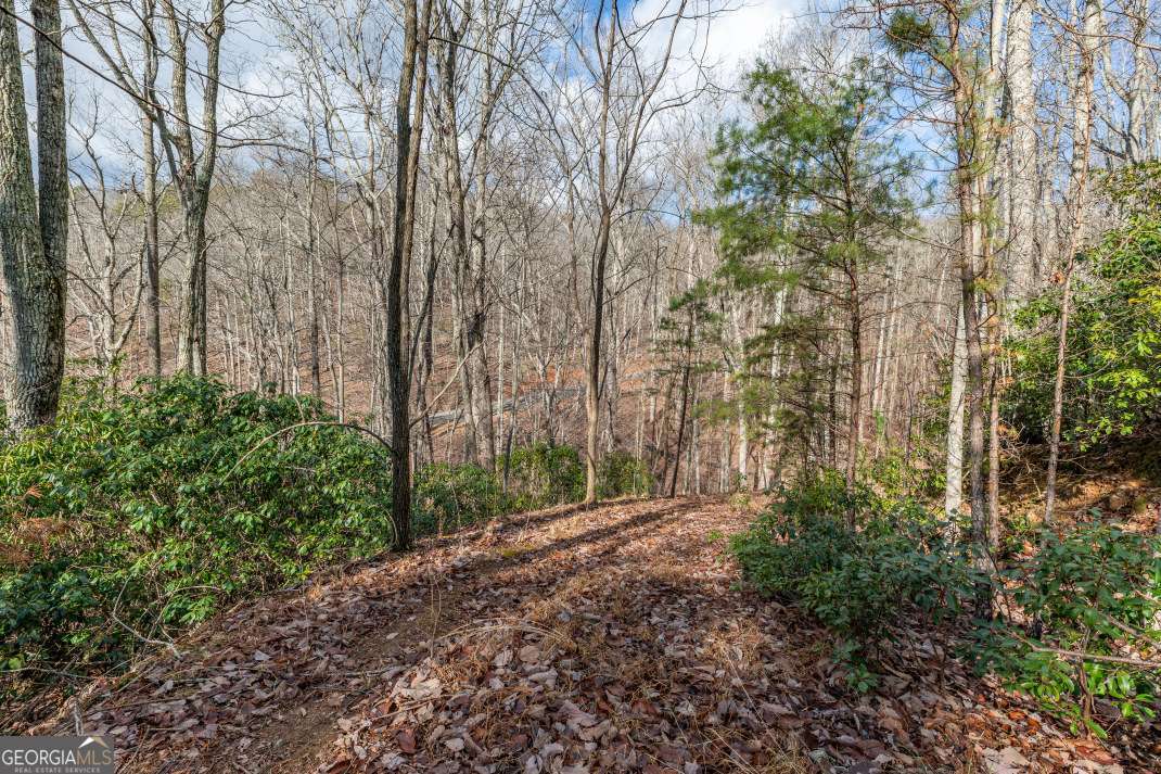 Lot 7 Squirrel Hunting Road Morganton, GA 30560 - Photo 11 of 70 a backyard of a house with lots of green space