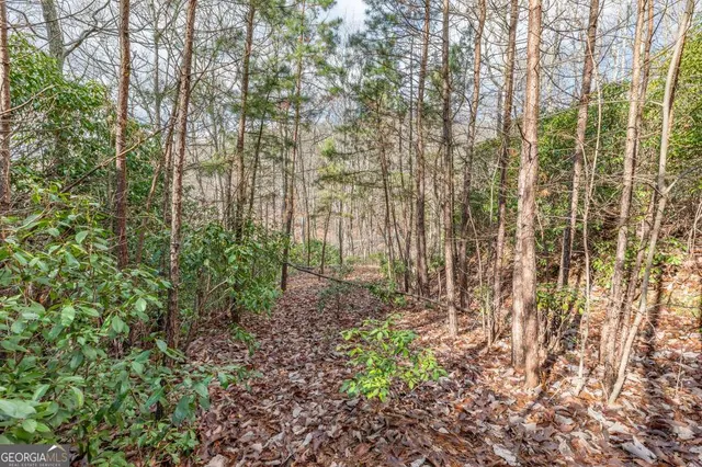 a view of backyard with green space