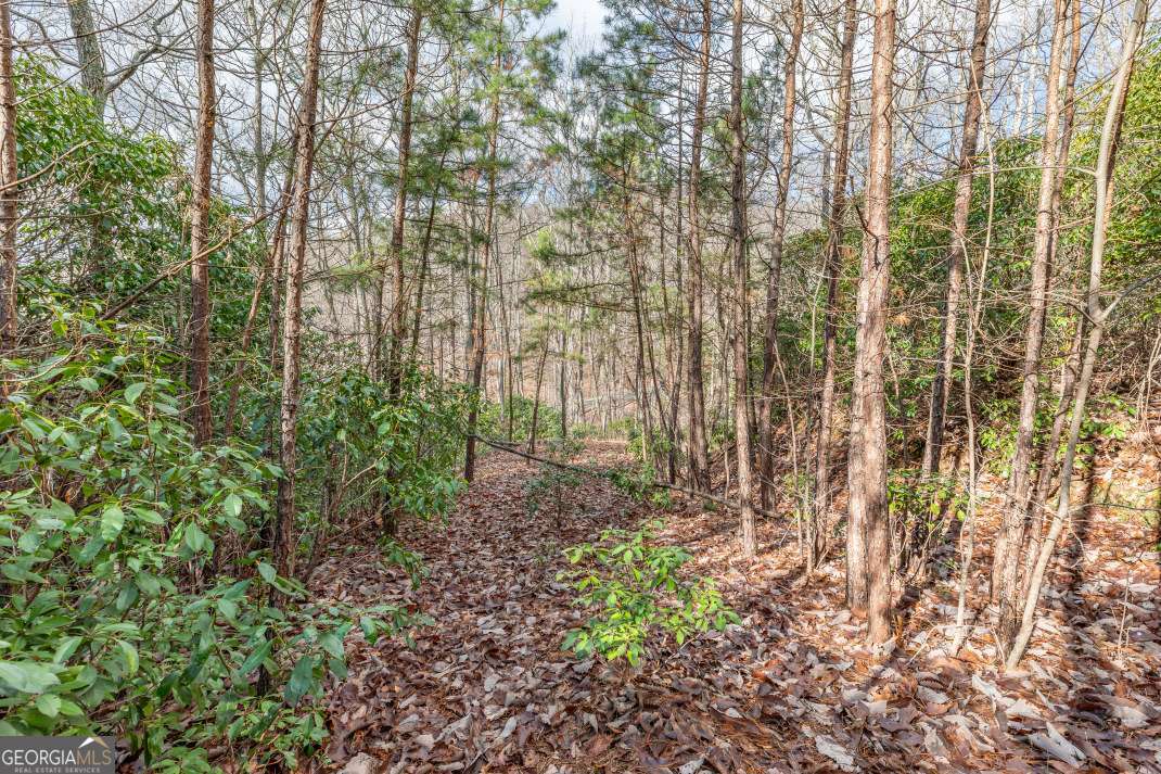 Lot 7 Squirrel Hunting Road Morganton, GA 30560 - Photo 12 of 70