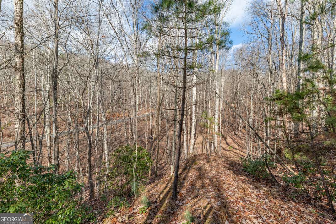 Lot 7 Squirrel Hunting Road Morganton, GA 30560 - Photo 17 of 70 a view of backyard with green space