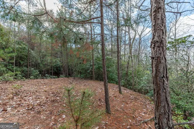 a backyard of a house with lots of plants and trees