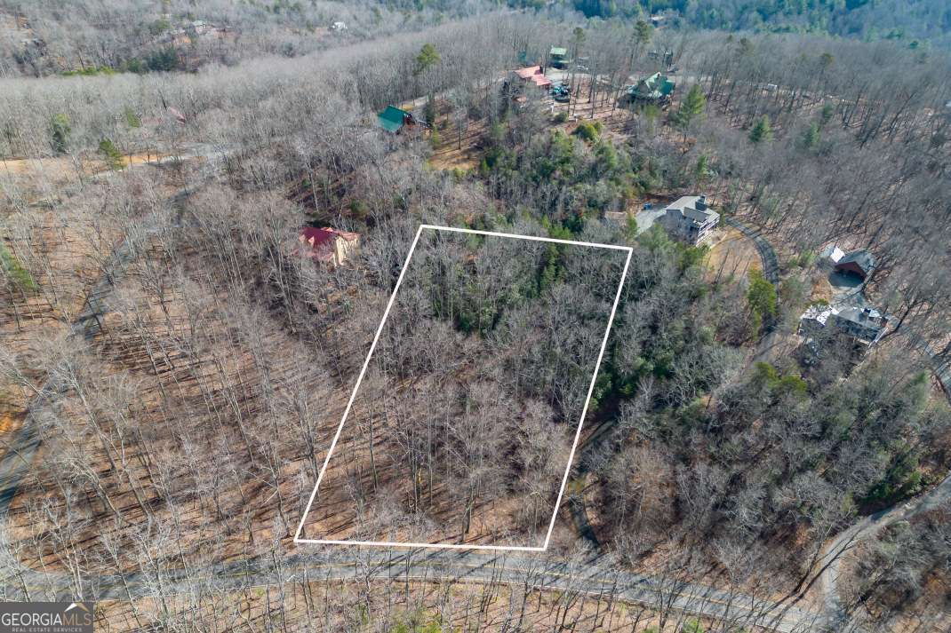 Lot 7 Squirrel Hunting Road Morganton, GA 30560 - Photo 2 of 70 a backyard of a house with lots of green space