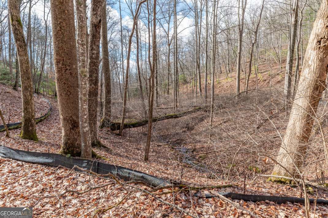 Lot 7 Squirrel Hunting Road Morganton, GA 30560 - Photo 26 of 70