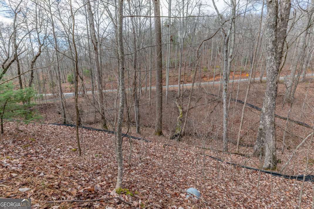Lot 7 Squirrel Hunting Road Morganton, GA 30560 - Photo 28 of 70 a view of a backyard