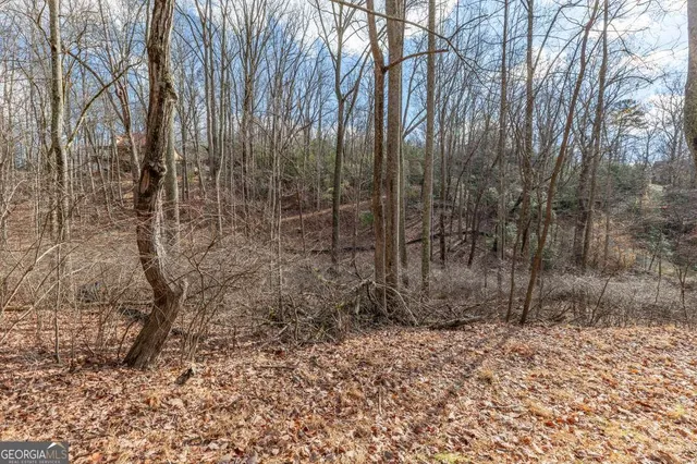 a view of a yard with a tree