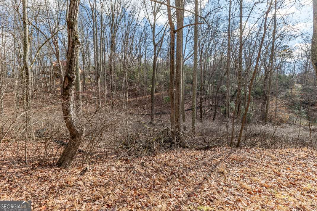 Lot 7 Squirrel Hunting Road Morganton, GA 30560 - Photo 31 of 70 a view of a forest