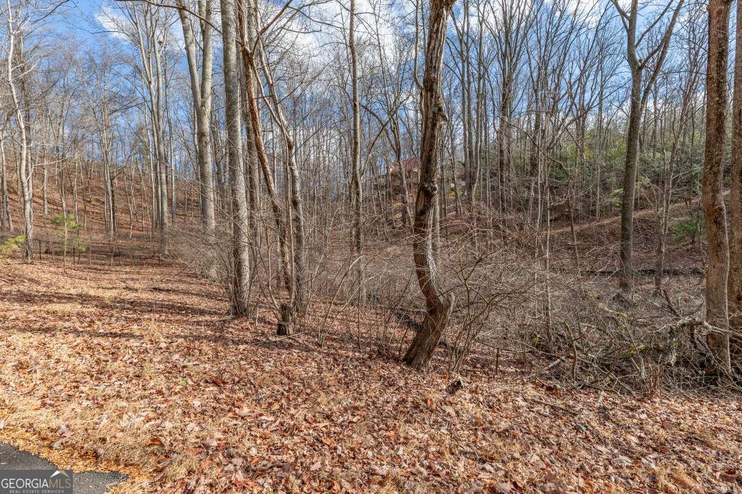 Lot 7 Squirrel Hunting Road Morganton, GA 30560 - Photo 32 of 70 a view of a backyard of the house