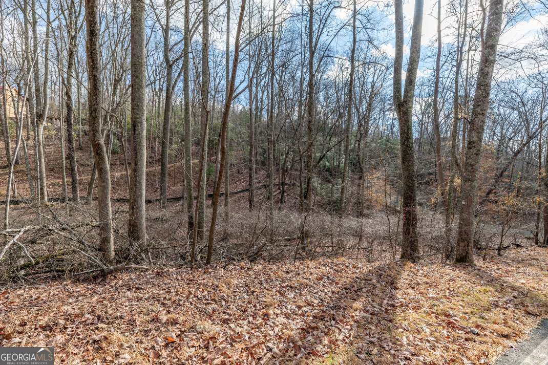 Lot 7 Squirrel Hunting Road Morganton, GA 30560 - Photo 34 of 70 a view of a backyard
