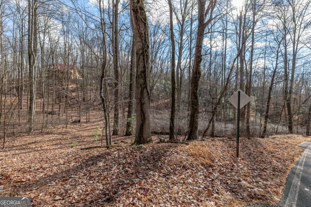 Lot 7 Squirrel Hunting Road Morganton, GA 30560 - Photo 35 of 70 a view of outdoor space with trees