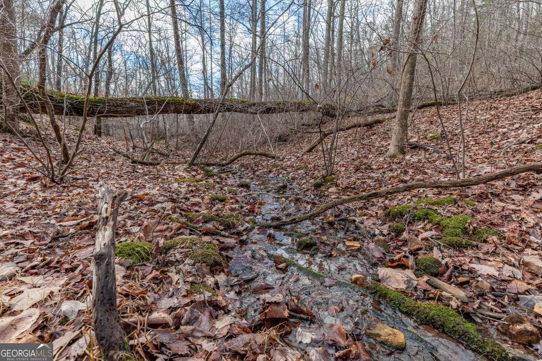 Lot 7 Squirrel Hunting Road Morganton, GA 30560 - Photo 38 of 70