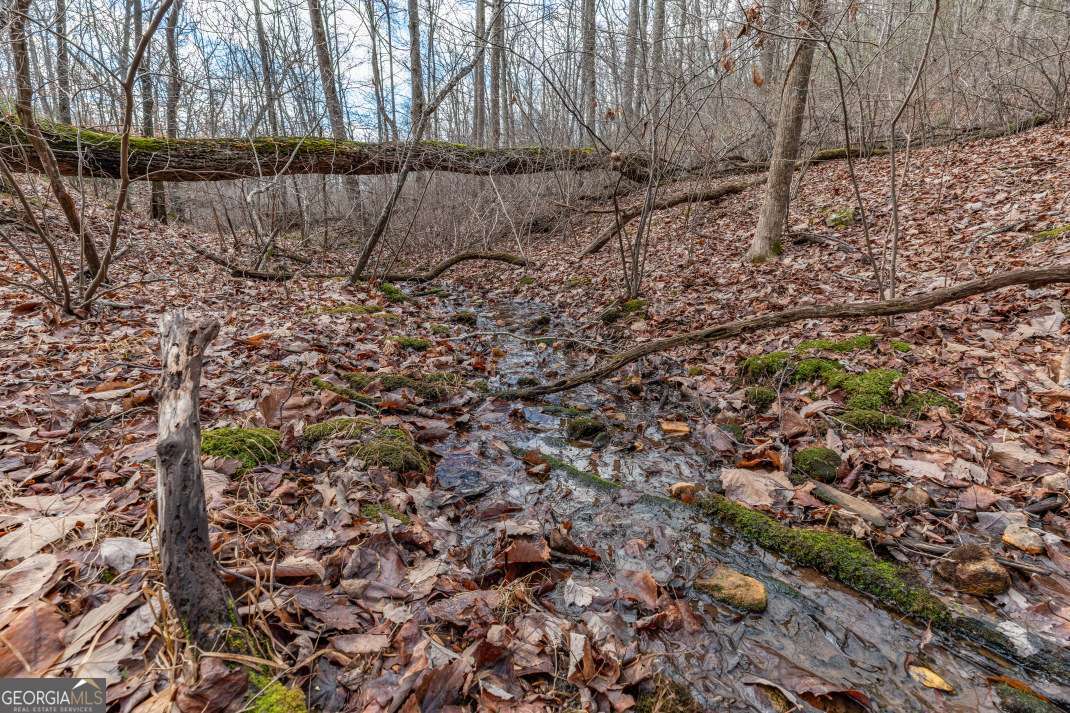Lot 7 Squirrel Hunting Road Morganton, GA 30560 - Photo 39 of 70 a view of a yard with a tree