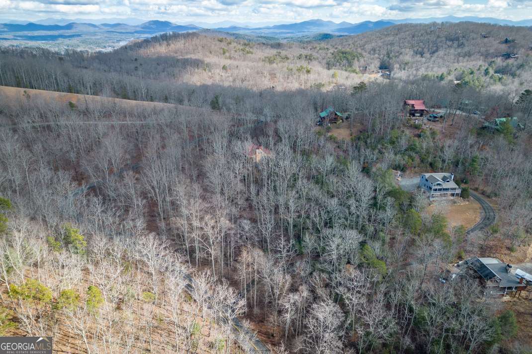 Lot 7 Squirrel Hunting Road Morganton, GA 30560 - Photo 4 of 70 a view of a yard with trees in the background