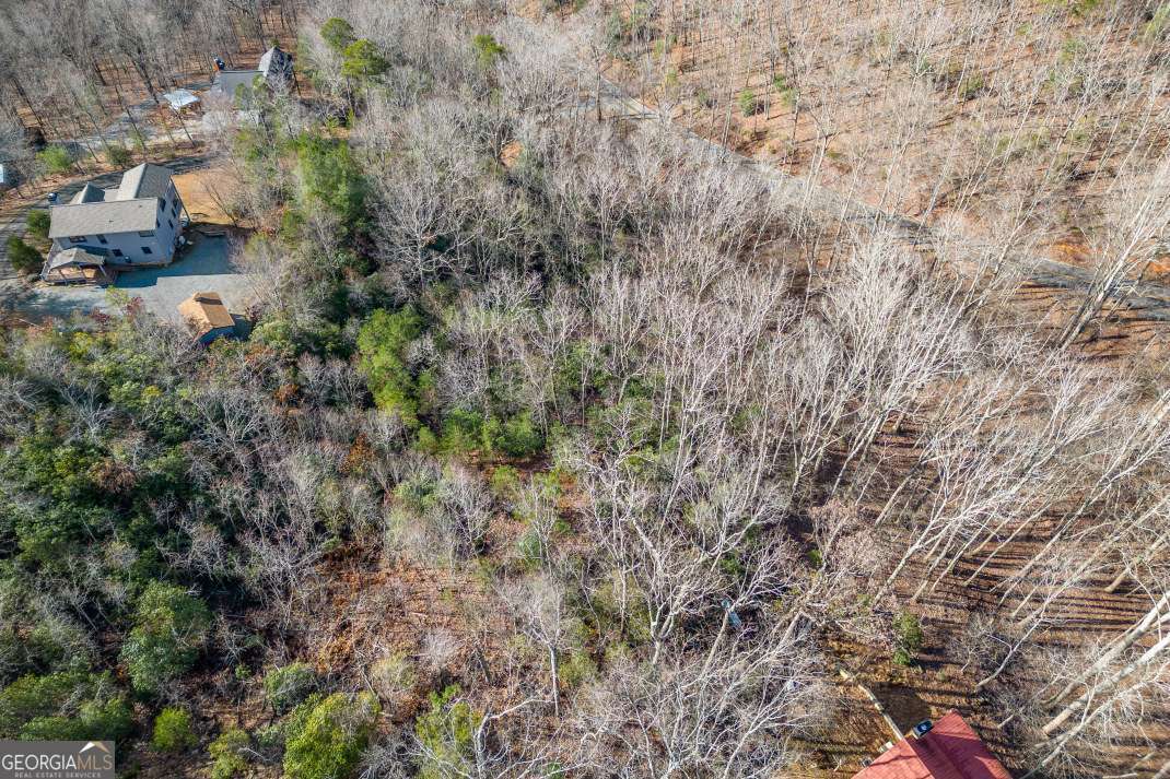 Lot 7 Squirrel Hunting Road Morganton, GA 30560 - Photo 46 of 70