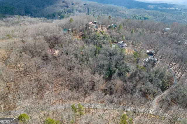 a view of a dry yard