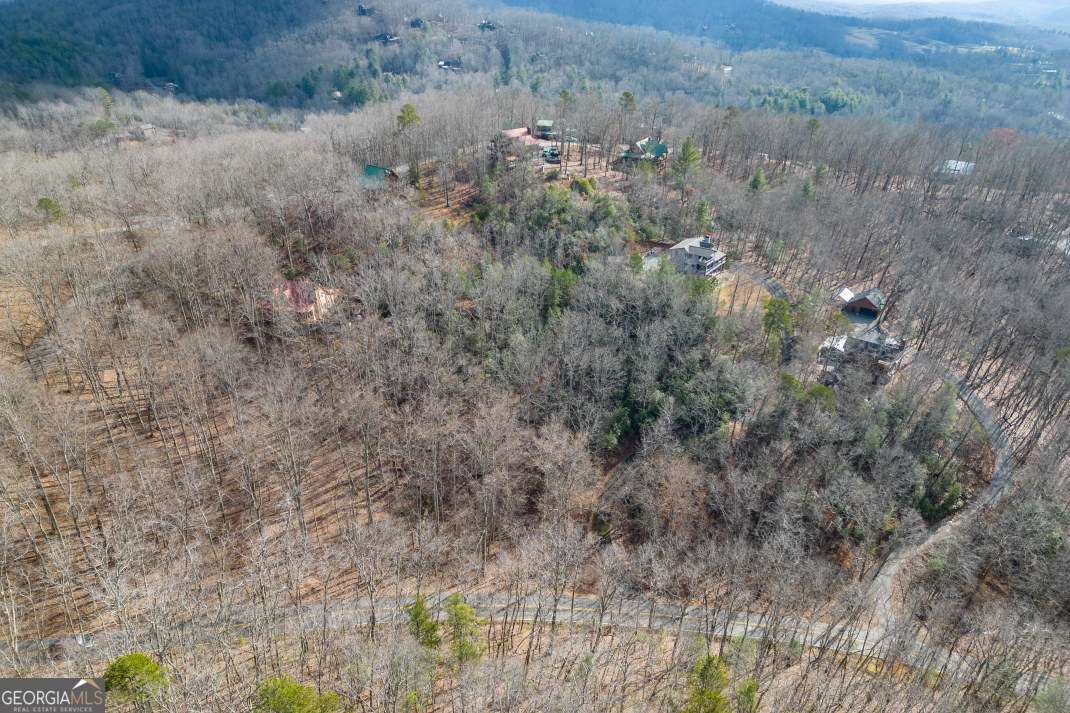 Lot 7 Squirrel Hunting Road Morganton, GA 30560 - Photo 47 of 70 a view of a dry yard