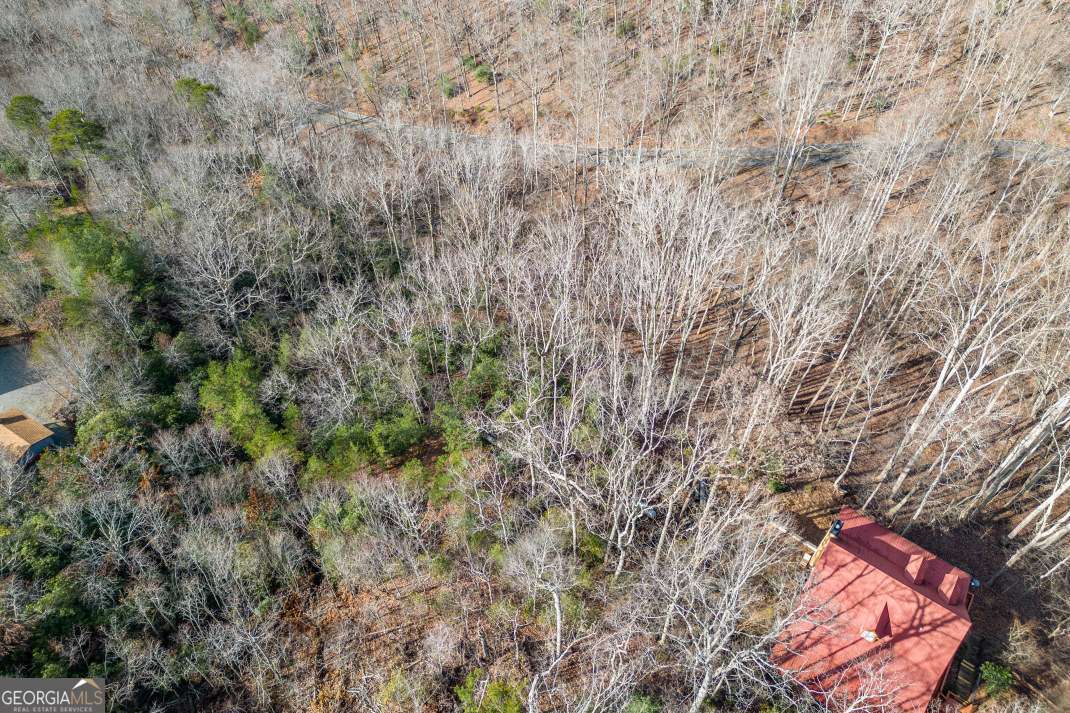 Lot 7 Squirrel Hunting Road Morganton, GA 30560 - Photo 48 of 70