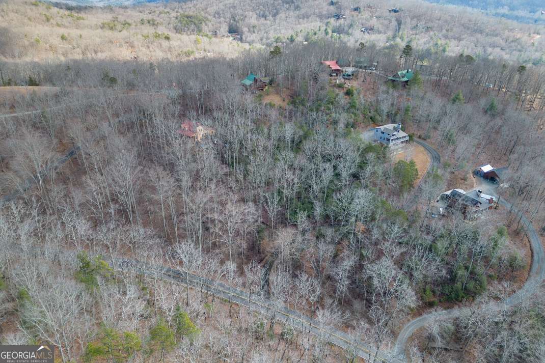 Lot 7 Squirrel Hunting Road Morganton, GA 30560 - Photo 5 of 70