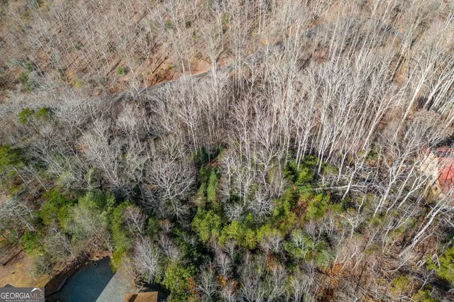$64,900 | Lot 7 Squirrel Hunting Road, Morganton, GA 30560