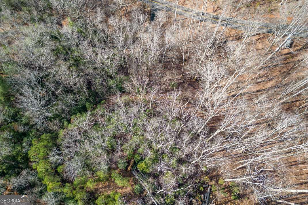 Lot 7 Squirrel Hunting Road Morganton, GA 30560 - Photo 55 of 70