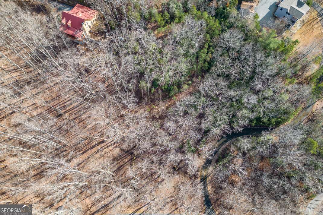 Lot 7 Squirrel Hunting Road Morganton, GA 30560 - Photo 57 of 70