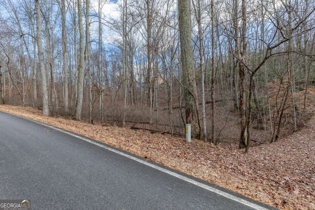Lot 7 Squirrel Hunting Road Morganton, GA 30560 - Photo 6 of 70 a view of a backyard of the house