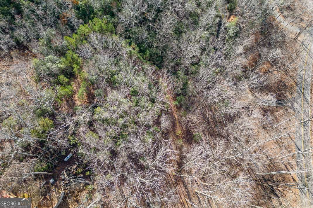 Lot 7 Squirrel Hunting Road Morganton, GA 30560 - Photo 61 of 70 a view of a dry yard with green space
