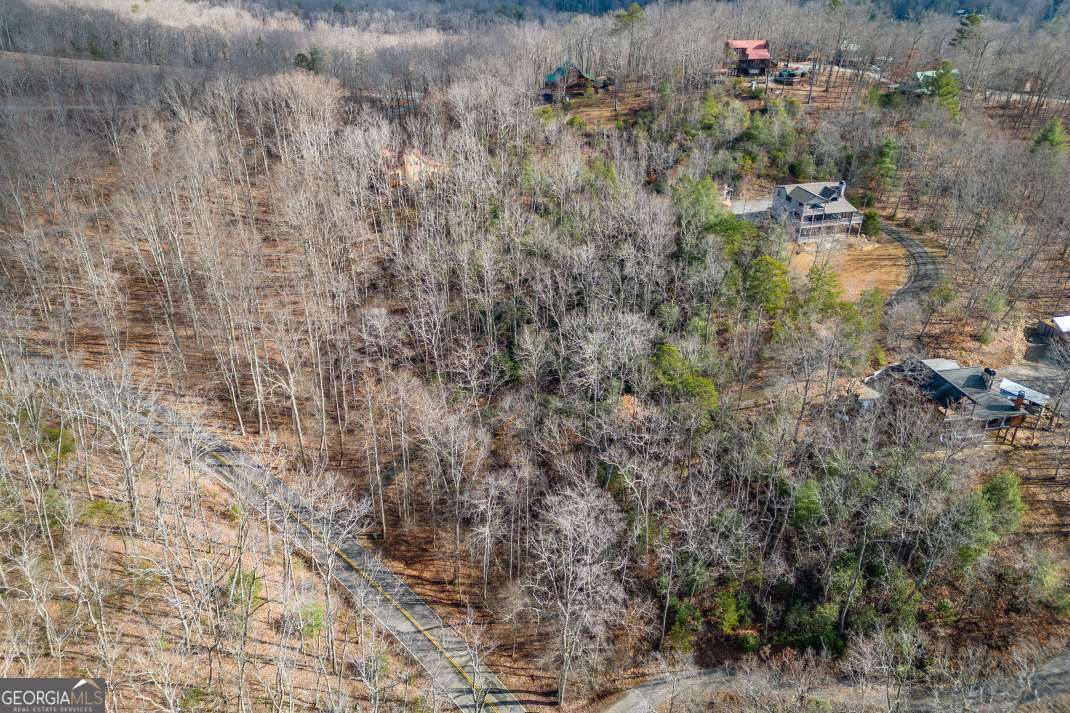 Lot 7 Squirrel Hunting Road Morganton, GA 30560 - Photo 64 of 70