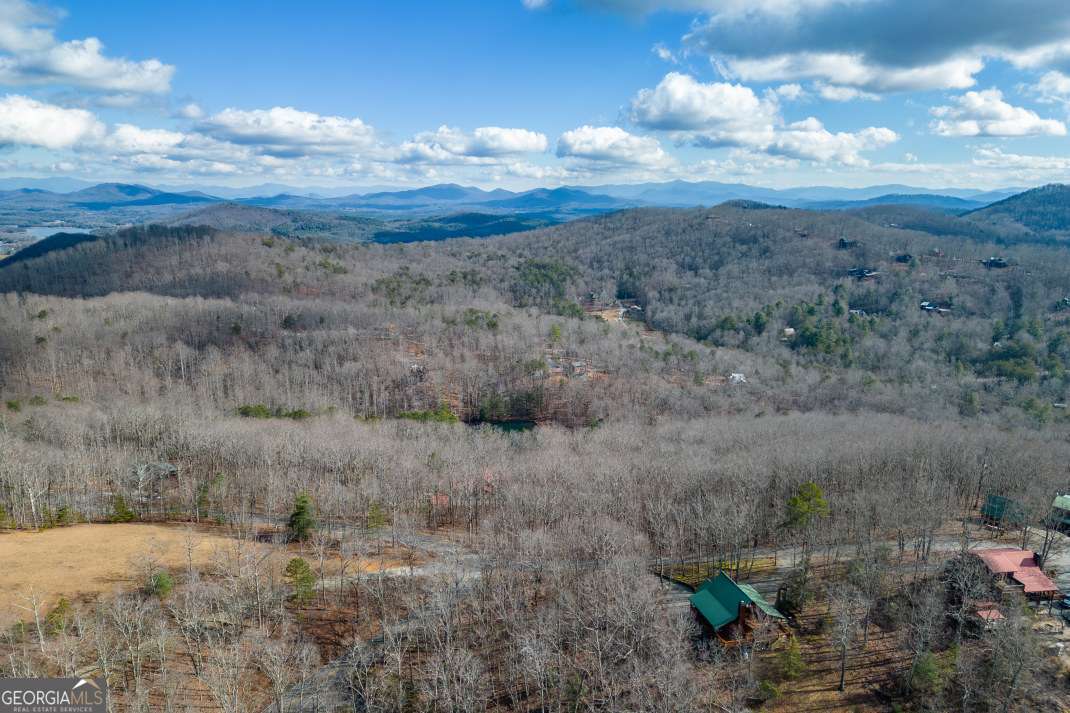 Lot 7 Squirrel Hunting Road Morganton, GA 30560 - Photo 66 of 70 a view of a dry yard