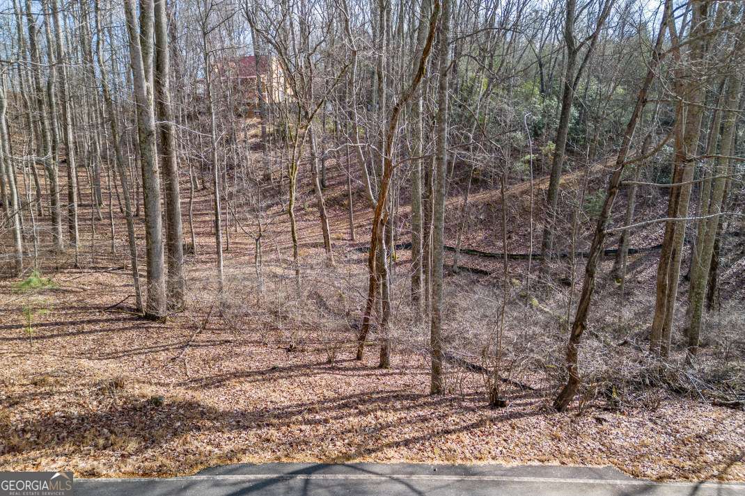 Lot 7 Squirrel Hunting Road Morganton, GA 30560 - Photo 9 of 70 a view of a brick wall