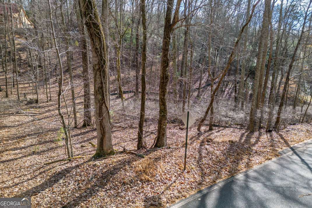 Lot 7 Squirrel Hunting Road Morganton, GA 30560 - Photo 10 of 70 a view of a yard with trees