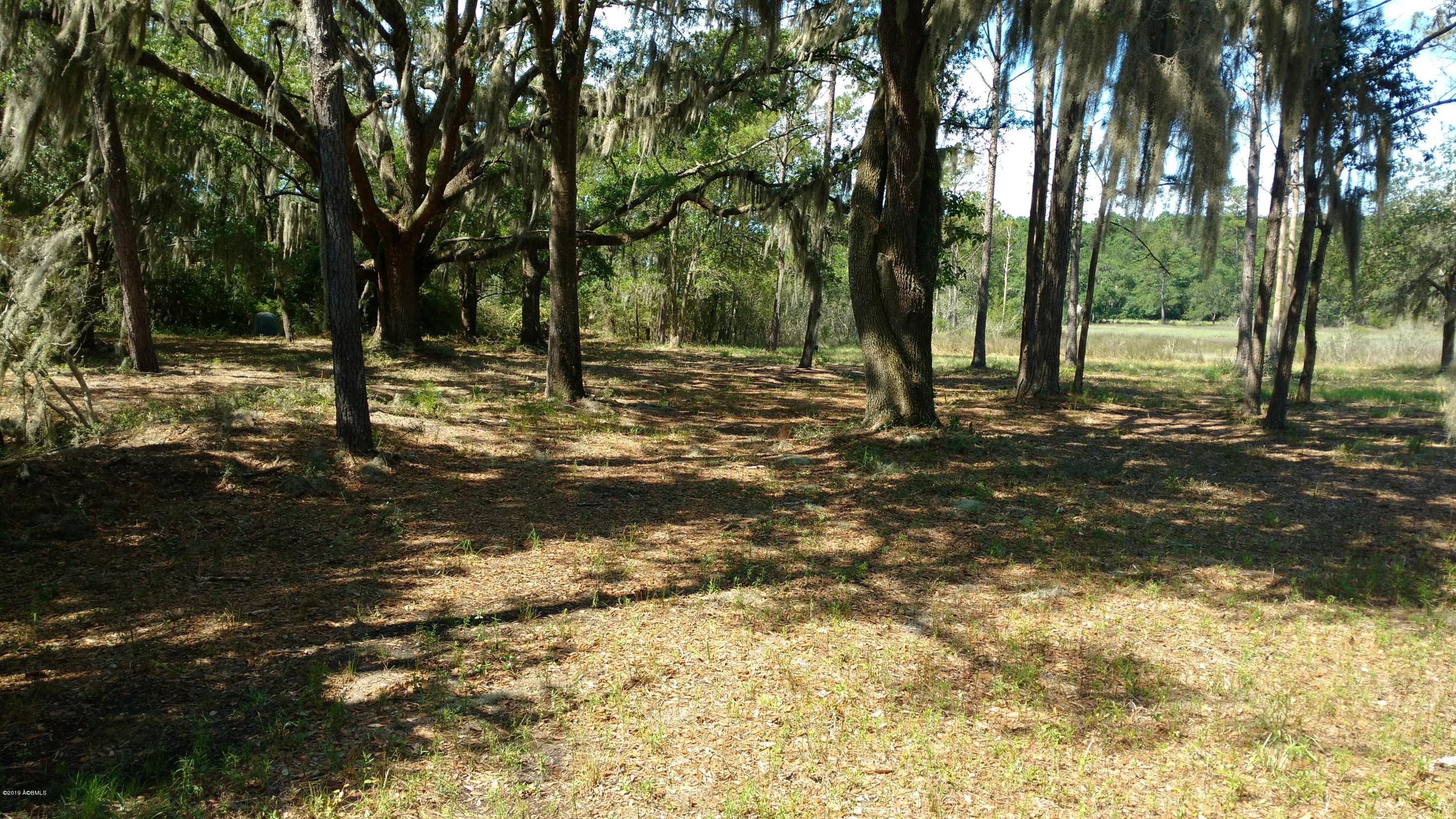 325 Brickyard Point Road North Beaufort, SC 29907 - Photo 3 of 6 IMG_20190621_1056020091