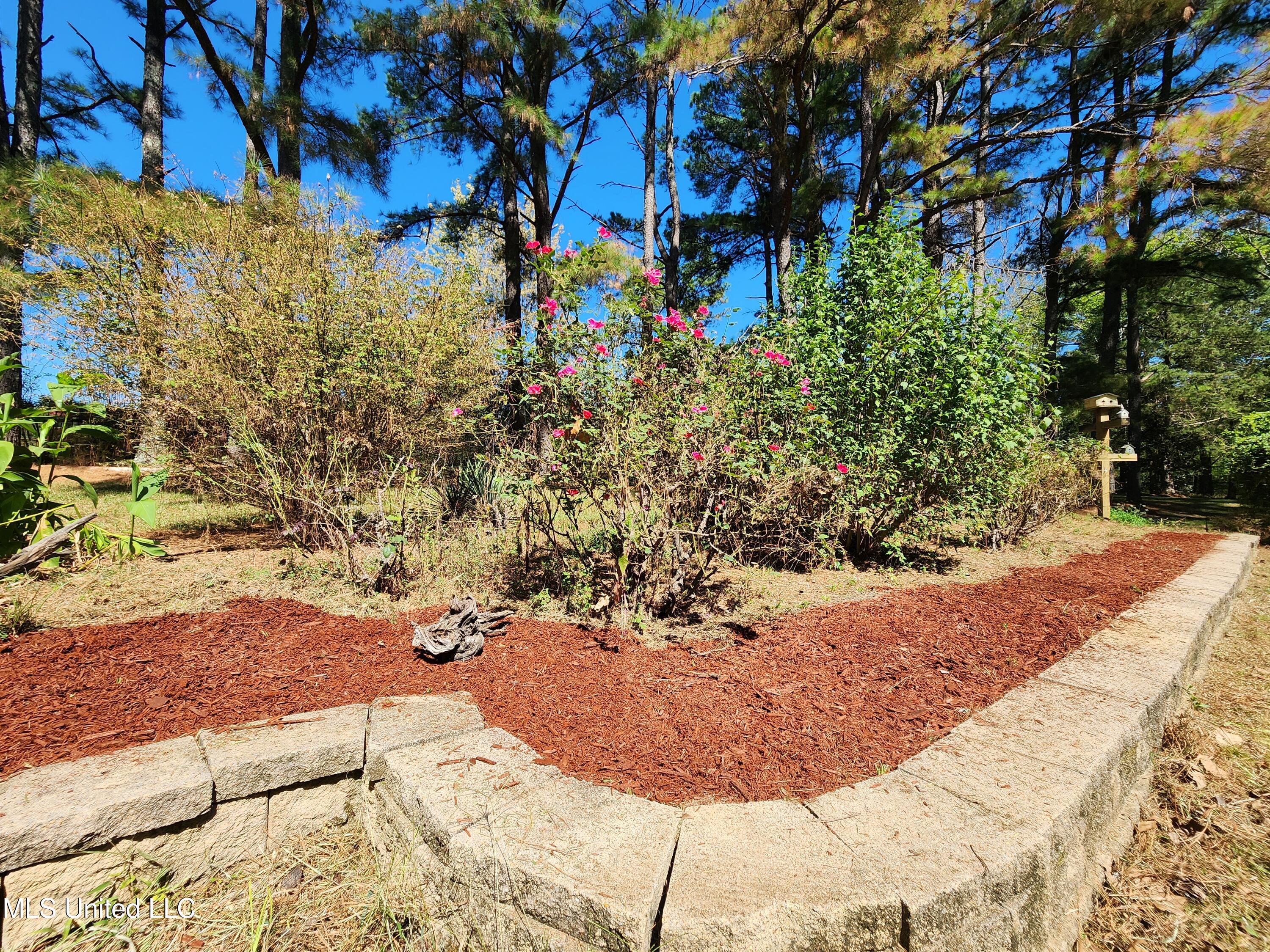5014 Marianna Road Holly Springs, MS 38635 - Photo 40 of 81 20251003_131935
