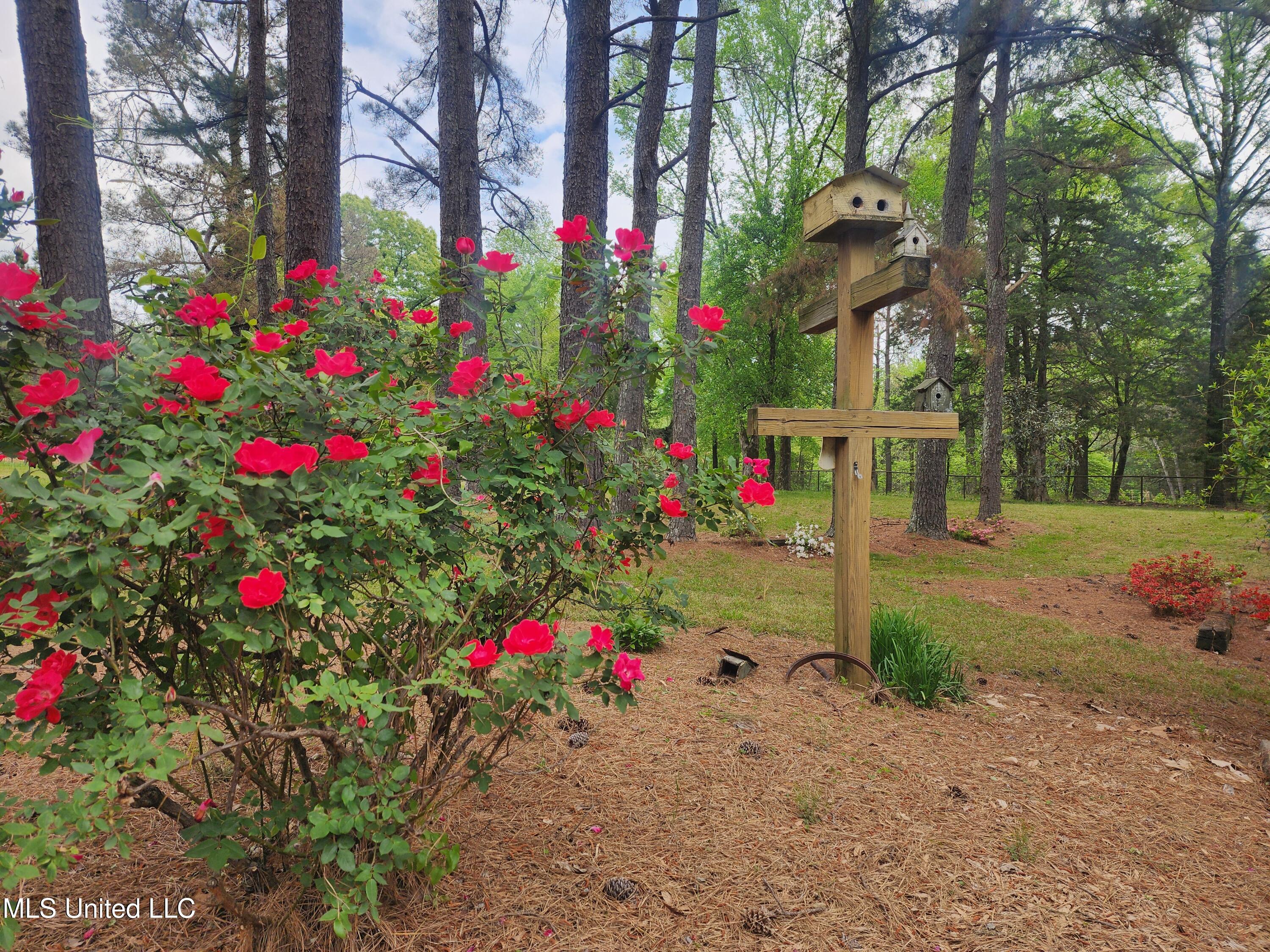 5014 Marianna Road Holly Springs, MS 38635 - Photo 56 of 81 20250418_113801