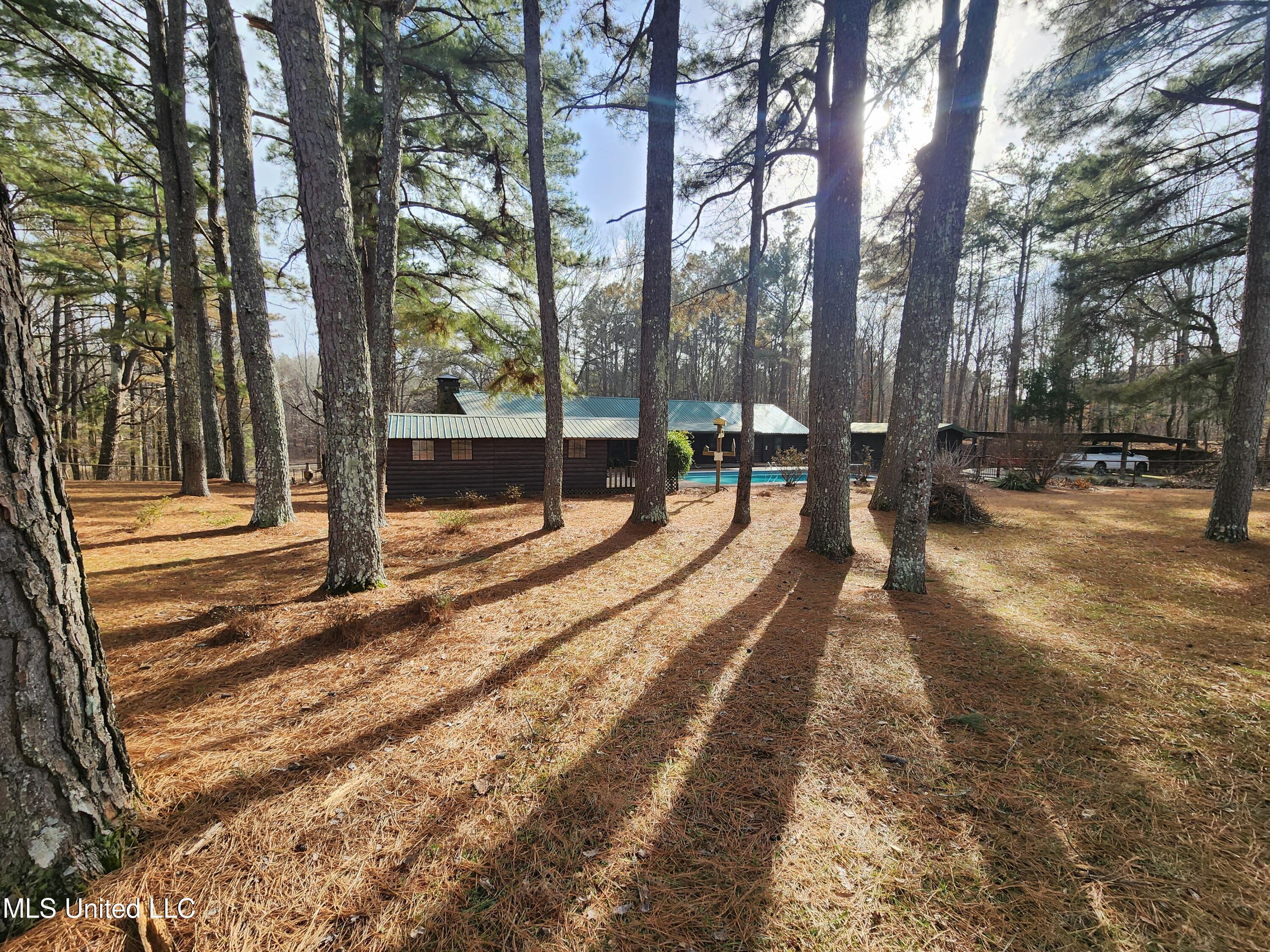 5014 Marianna Road Holly Springs, MS 38635 - Photo 59 of 81 20250131_144111