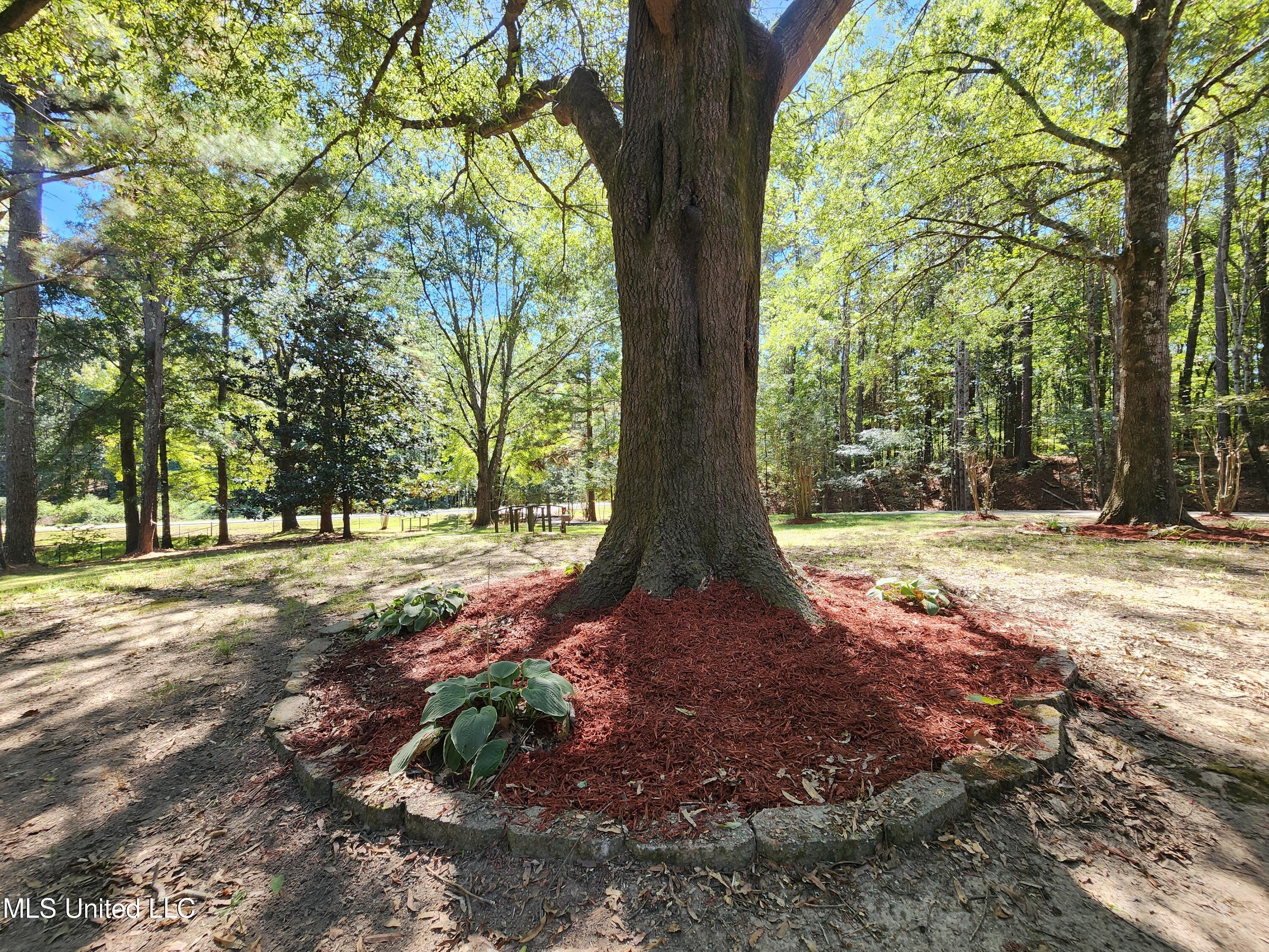 5014 Marianna Road Holly Springs, MS 38635 - Photo 6 of 81 20251003_131246
