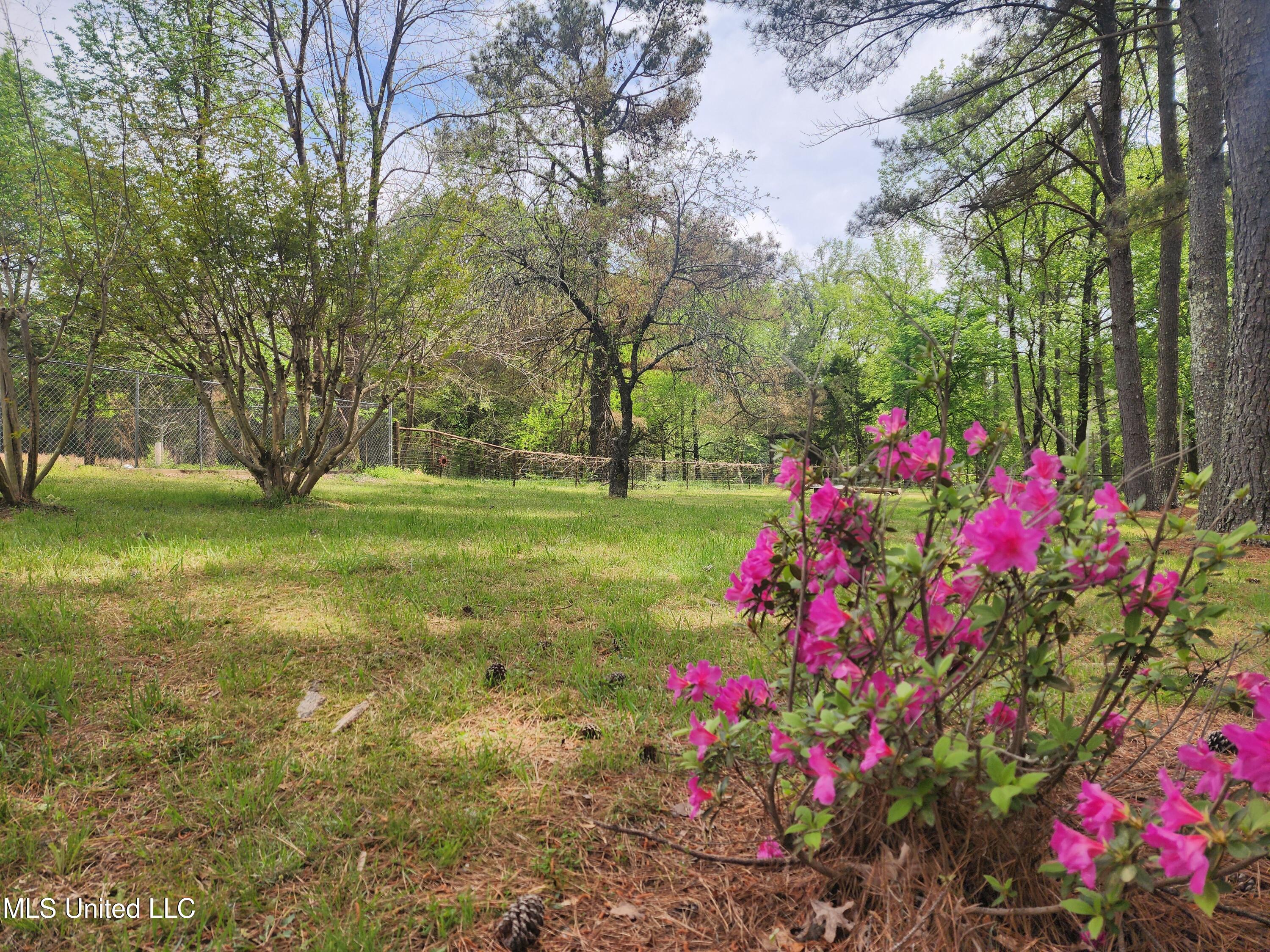5014 Marianna Road Holly Springs, MS 38635 - Photo 62 of 81 20250418_113705
