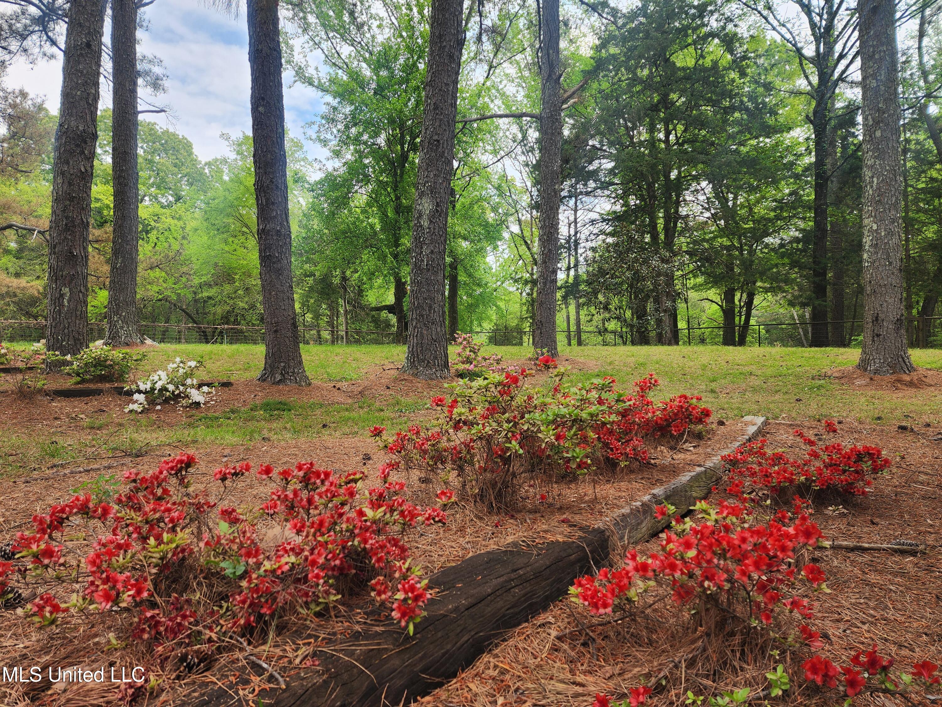 5014 Marianna Road Holly Springs, MS 38635 - Photo 63 of 81 20250418_113830