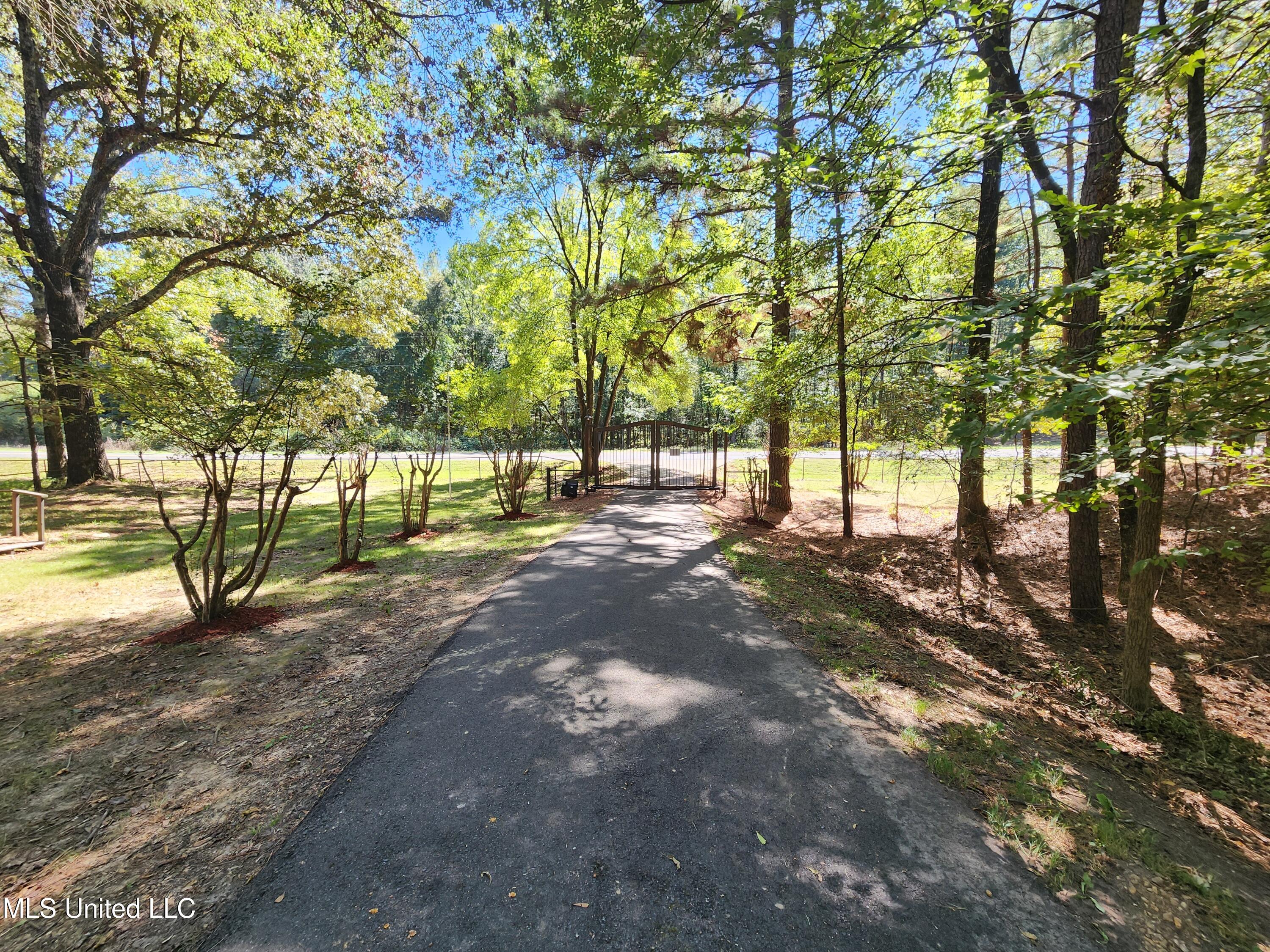 5014 Marianna Road Holly Springs, MS 38635 - Photo 9 of 81 20251003_130842