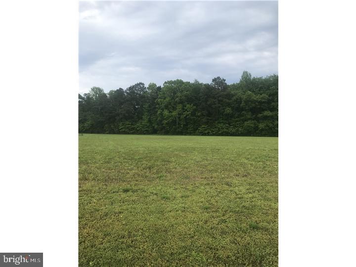 17817 Pimlico Road Milton, DE 19968 - Photo 2 of 2 Gallery Image 2