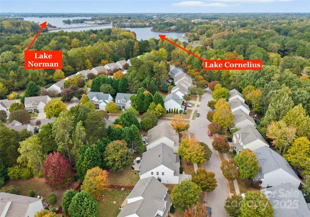 a view of a backyard with plants