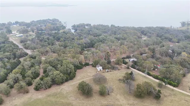 a view of a dry yard with trees