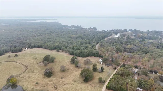 a view of a dry yard with lots of trees