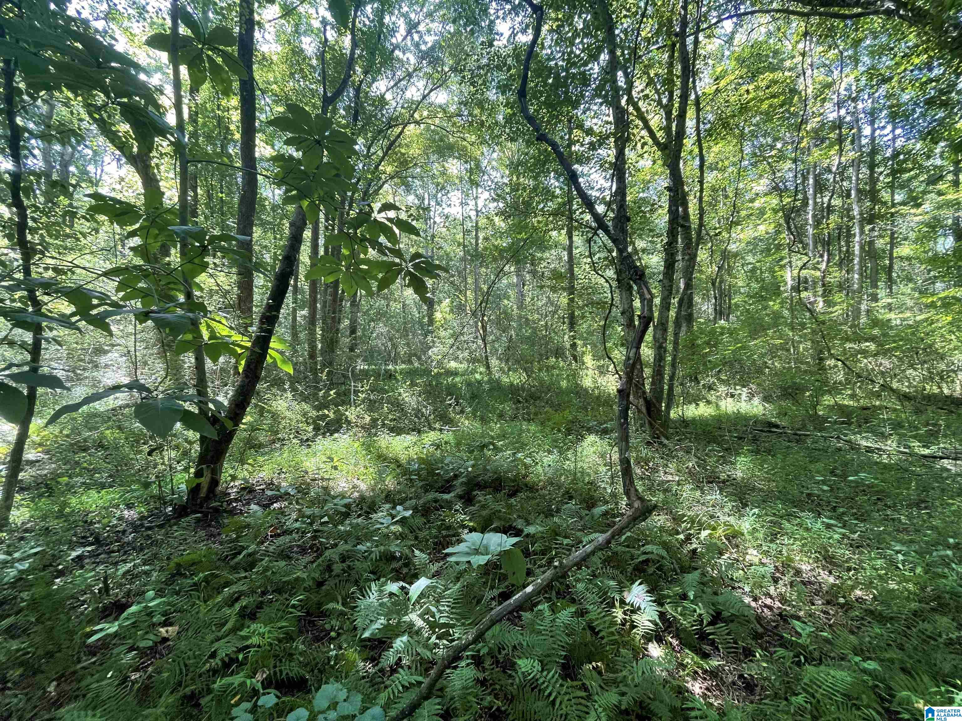 0 County Road 689, Unit 1 Ranburne, AL 36273 - Photo 63 of 69