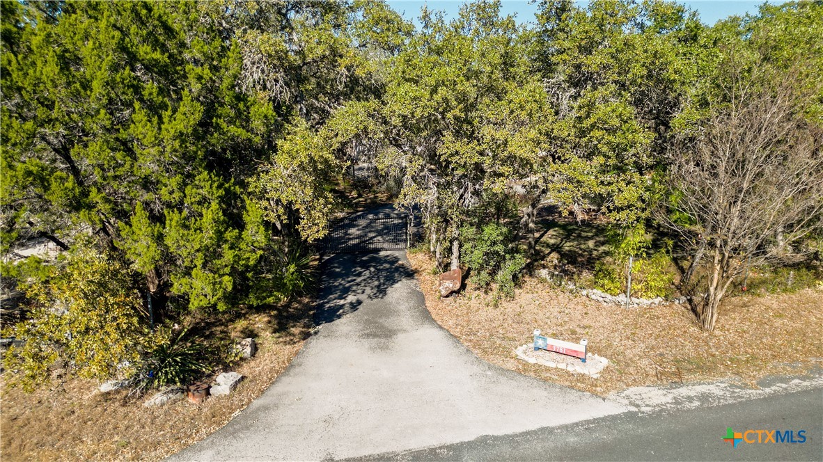 3781 Ridgeway Drive San Antonio, TX 78259 - Photo 5 of 44 a view of a tree with lots of trees