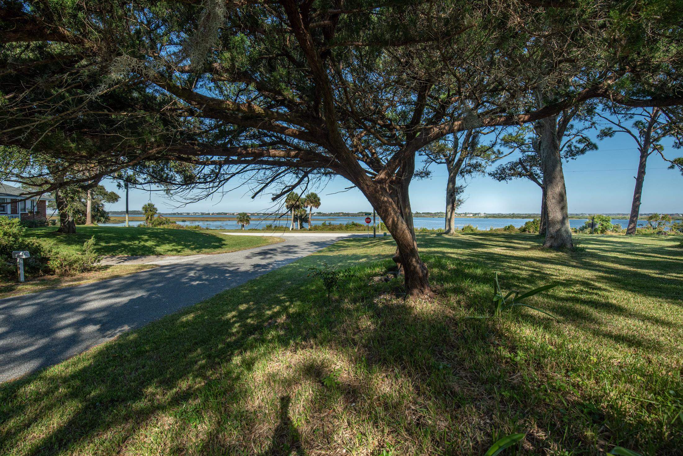 134 Neptune Road St. Augustine, FL 32086 - Photo 27 of 36 a view of a yard with plants and large trees